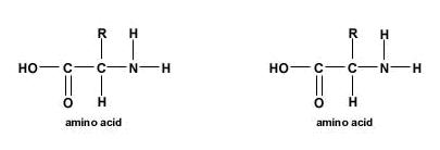 Formación de Enlace Peptídico